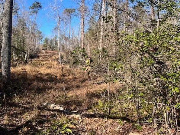 LOT 5998 Vermont Rd, Rhoadesville, VA 22542