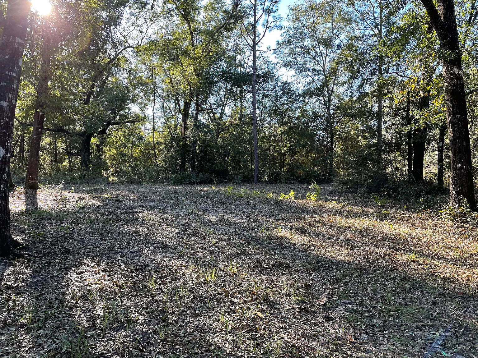 3 bed, $1,200 — Photo 1