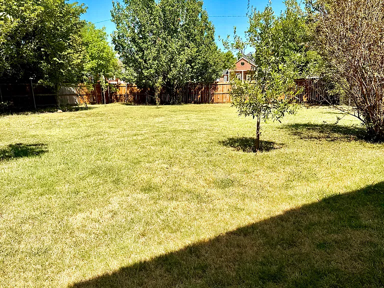 806 Springwood Dr — Photo 17