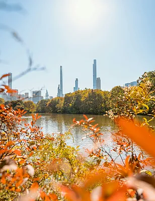 Rented by MNS | media 17