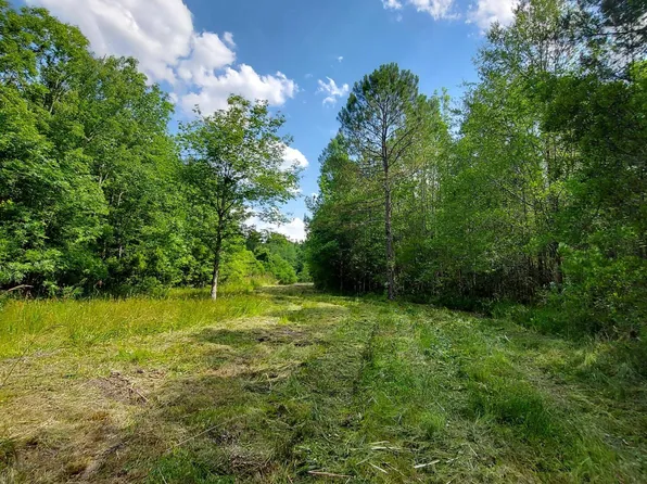 2973 Rhode Dr, Cottageville, SC 29435