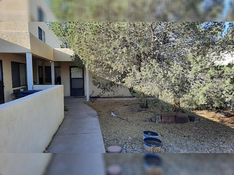 Candelaria outside_02072024