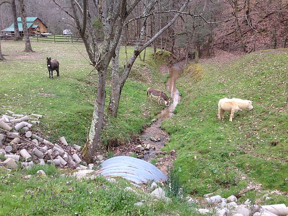 Creek on lower lot