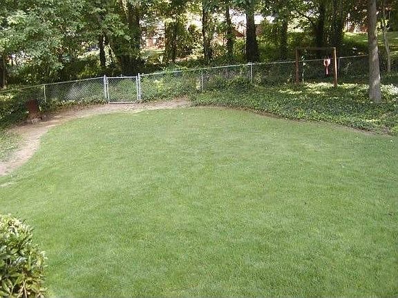 Huge fenced back yard