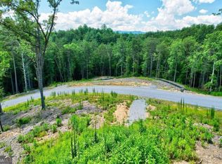 2 Laurels Of Blue Rdg, Mineral Bluff, GA 30559
