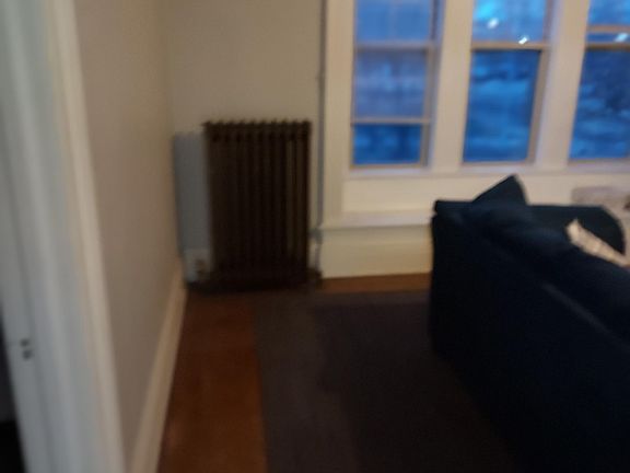 4th image of 360 W 10th St #3