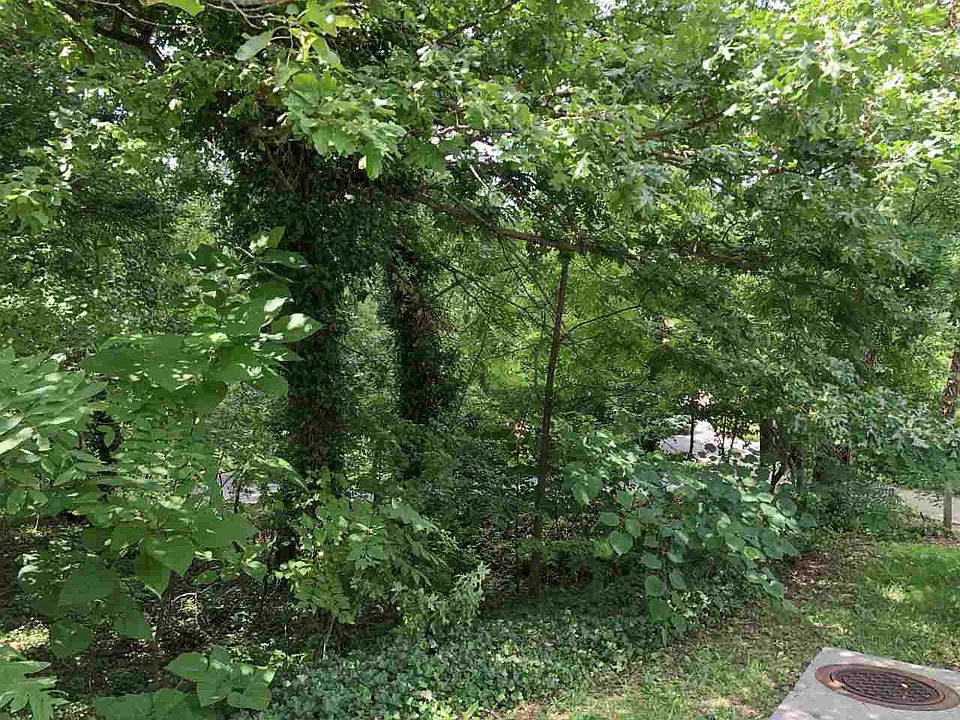 2nd image of 1180B Nelson Dr