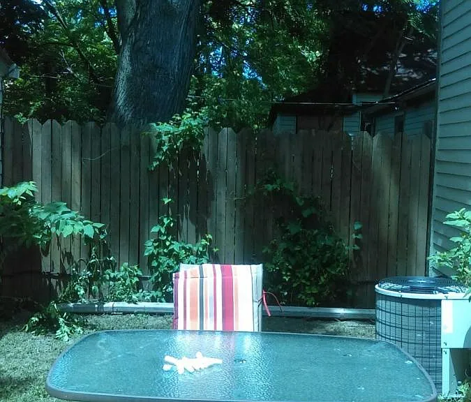 Back deck