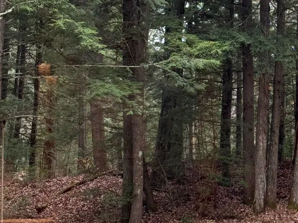 LOT 308 WHITE MOUNTAIN Road, Haverhill, NH 03785