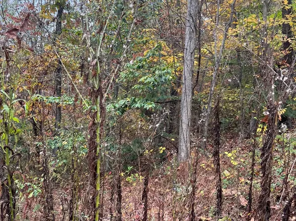 LOT 2 Princeland Dr, Ashland, KY 41102