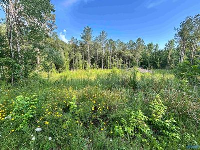 County Road 82, Cedar Bluff, AL, 35959