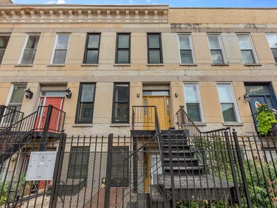 1005 S Racine Ave, Chicago, IL, 60607