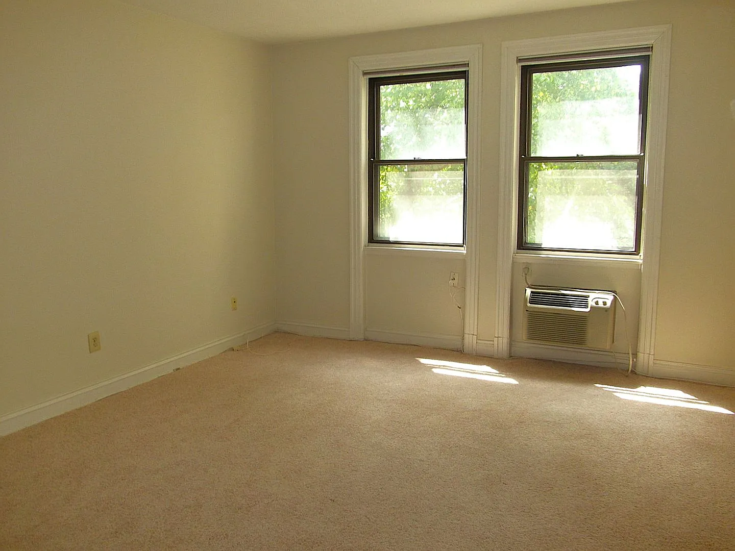 Zoo-licious Spacious Studio Apt across from the Zoo in Cleveland Park! — Photo 4