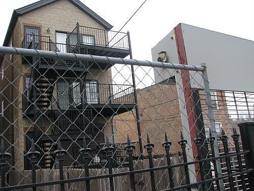 4th image of 6326 S Greenwood Ave #1