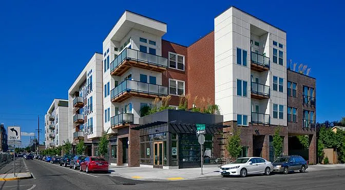 The Mason Williams — Photo 2
