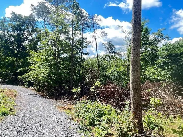 Dunville Gap Rd, Rutledge, TN 37861