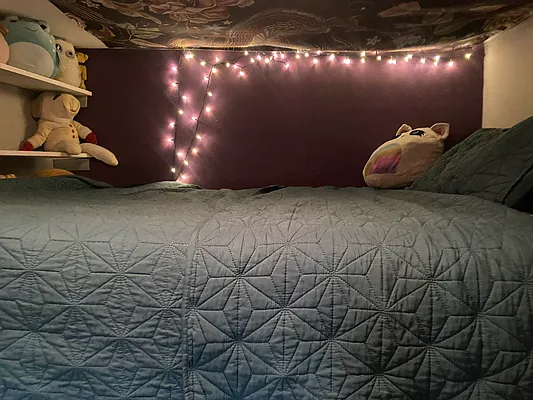 Rented by null | media 20