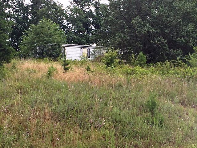 2nd image of 219 Albeck Dr