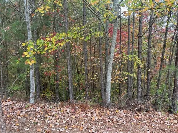 429 Spring Lake Hls #39, White, GA 30184