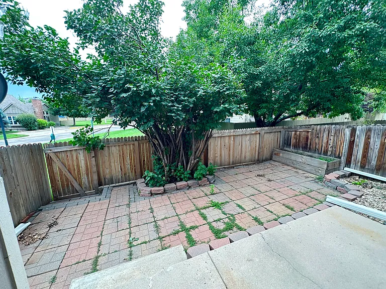 Backyard summer time