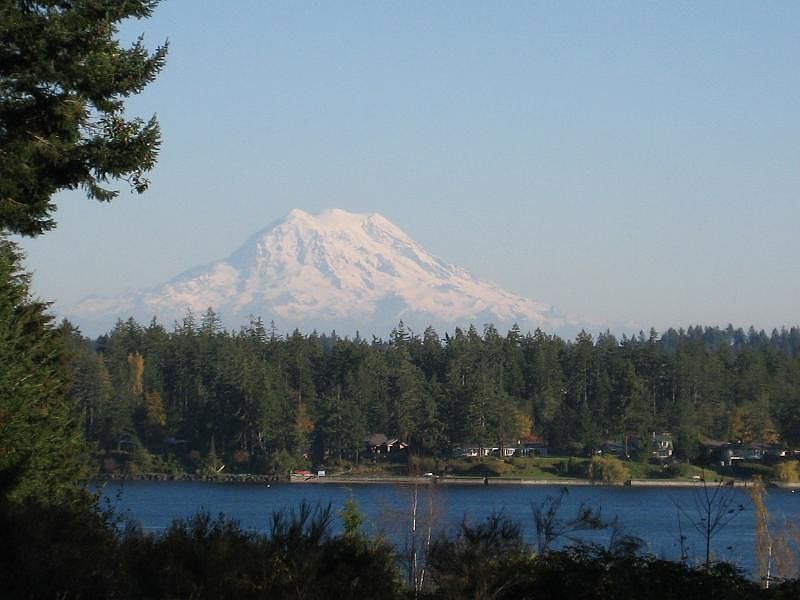 View of Mt. Rainier & Eld Inlet