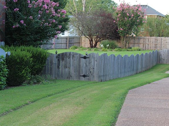 5th image of 216 Shady Ln