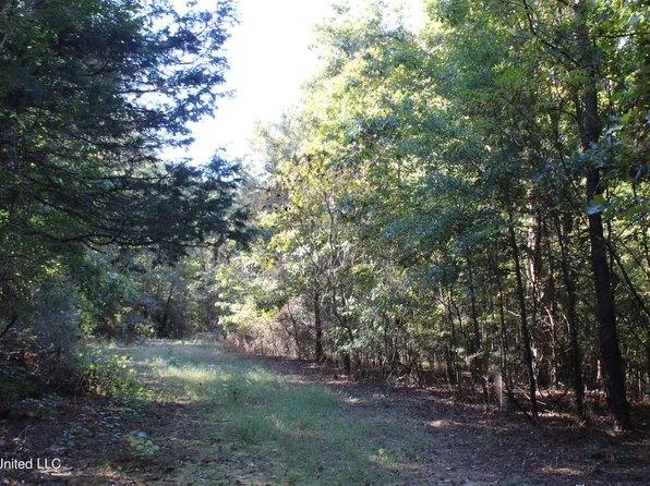 1505 Lower Gurley Rd, Potts Camp, MS 38659
