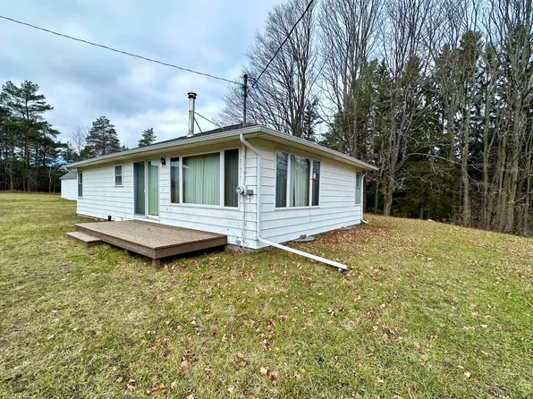 8634 Freeman Rd, Onaway, MI 49765