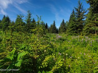 17617 Kimeluk St, Ninilchik, AK 99639