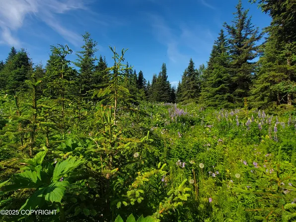 17617 Kimeluk St, Ninilchik, AK 99639