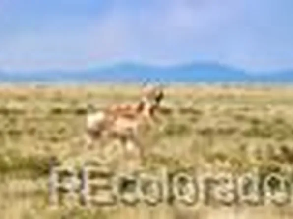 High Plains Road, Capulin, CO 81124