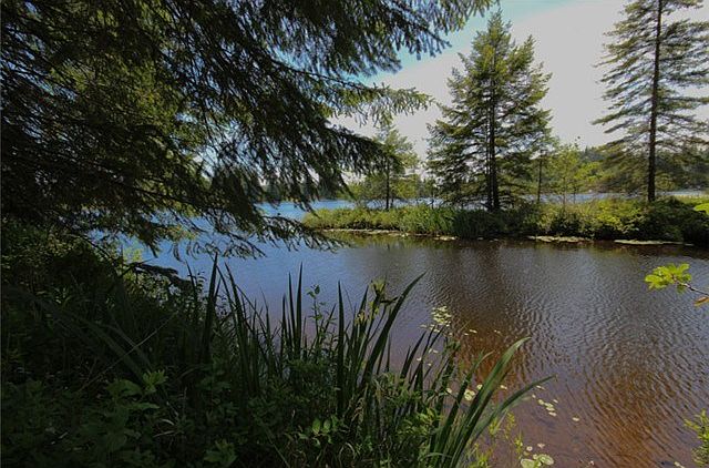 1st image of 2192 W Star Lake Dr