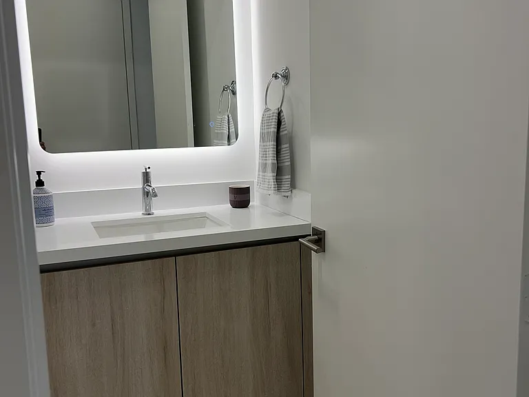 Half bathroom - downstairs
