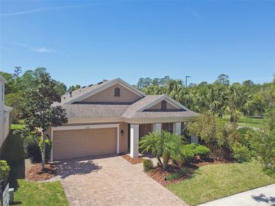 3822 Balcony Breeze Dr, Land O Lakes, FL, 34638