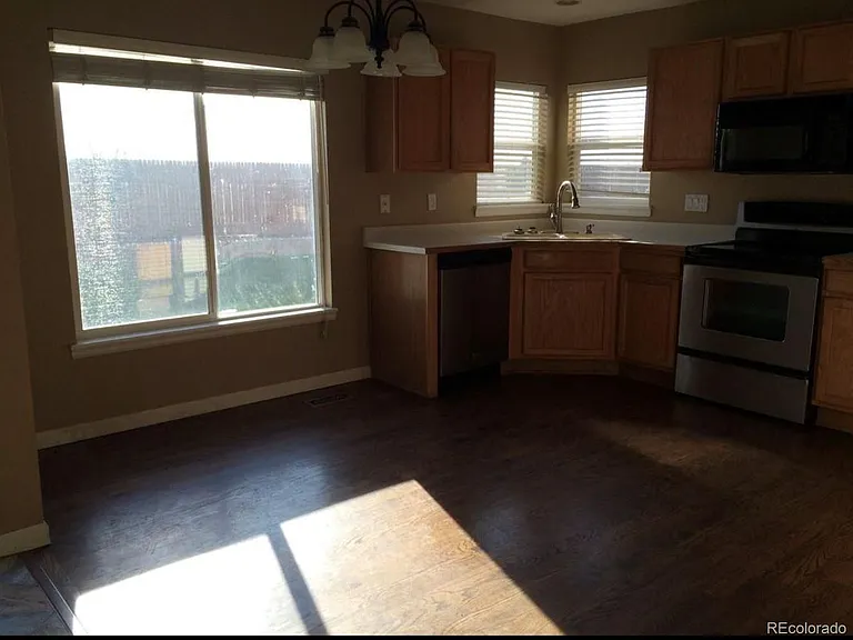10785 Appaloosa Ct — Photo 8