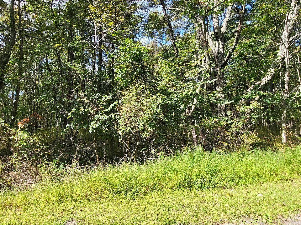 2nd image of A187 White Oak Dr