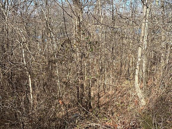 5th image of 344 Larayne Hollow Rd