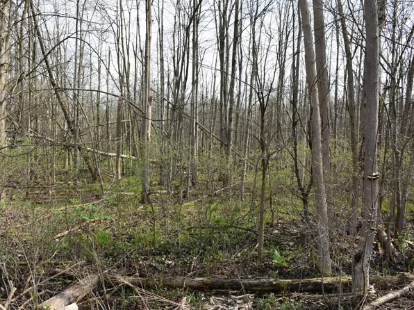 3214-024 Blooming Valley Rd, Meadville, PA 16335