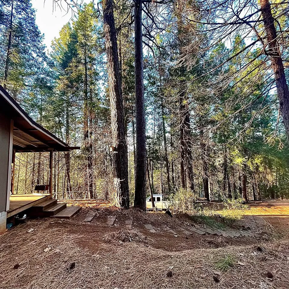 Studio, 384 sqft, $1,300 — Photo 3