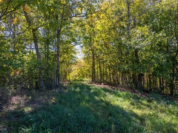 3245 Dixon Ridge Rd, Lowell, OH 45744