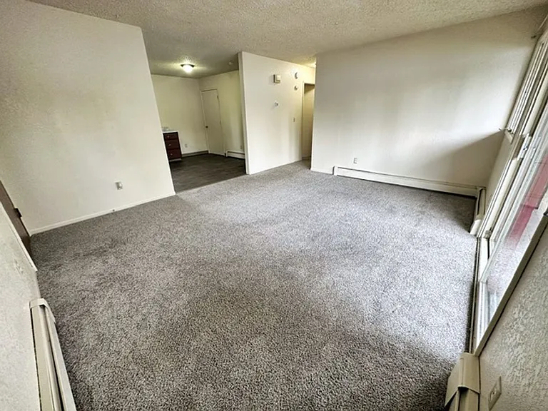 325 N Hoyt St — Photo 14