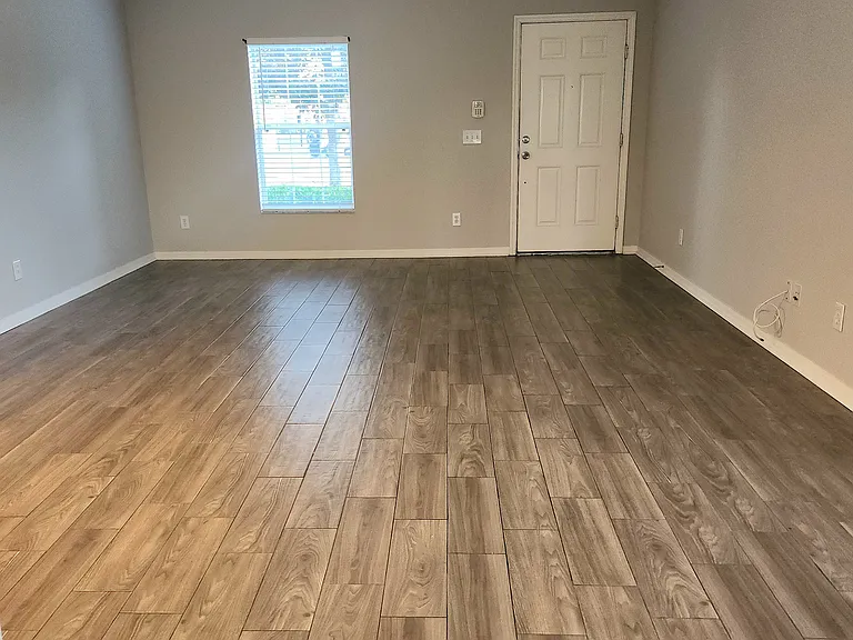 15702 Fishhawk Falls Dr — Photo 6