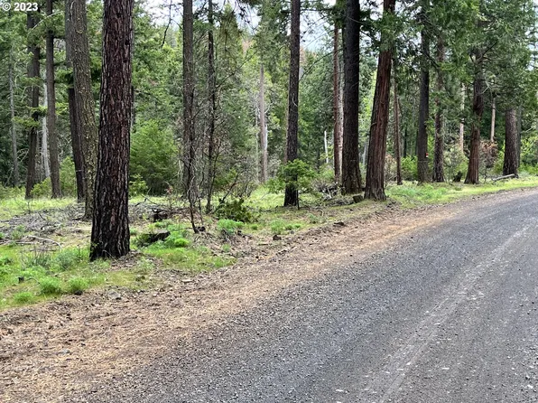 Kelly Springs Rd, Maupin, OR 97037