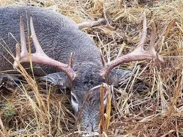 11254 County Road 110, Menahga, MN 56464