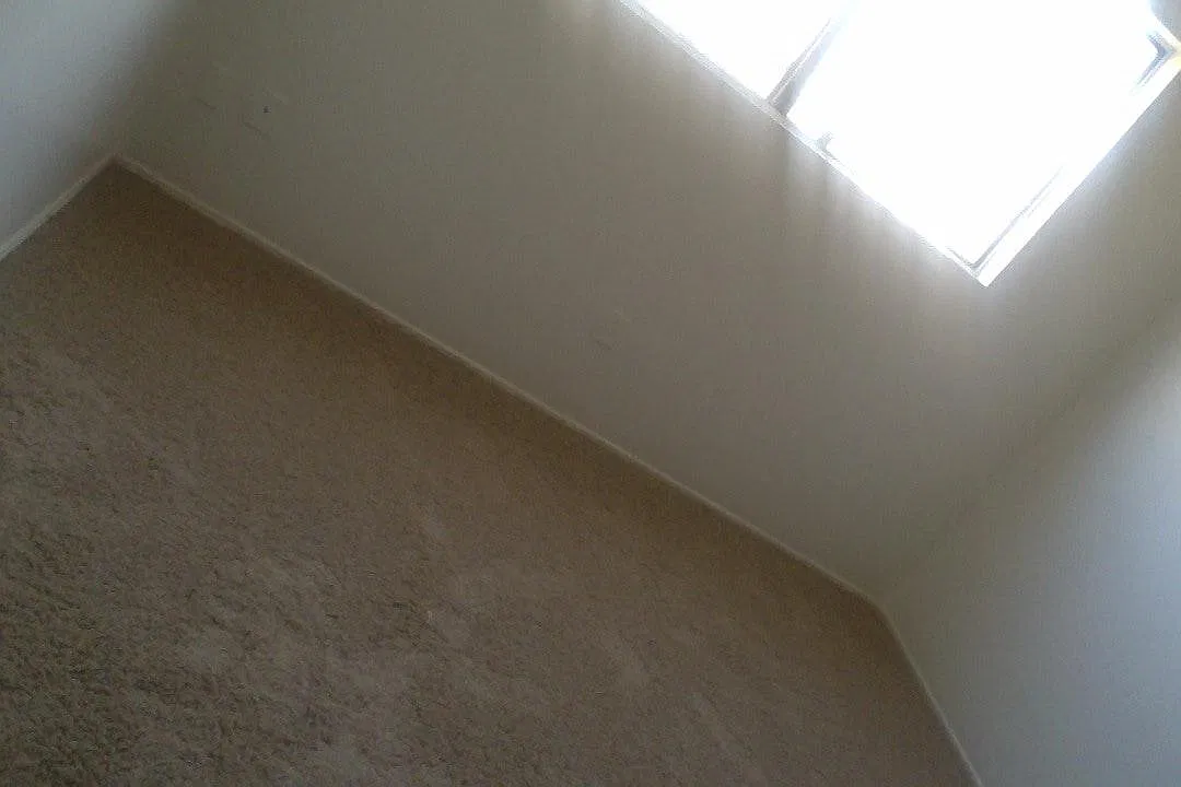 3 bed, 4347 sqft, $2,900 — Photo 4