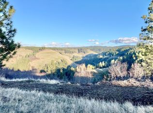 0 Lewis Peak, Dixie, WA 99329