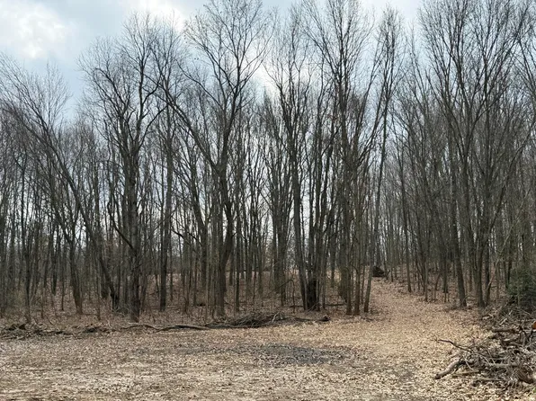 Yawger Rd, Battle Creek, MI 49017