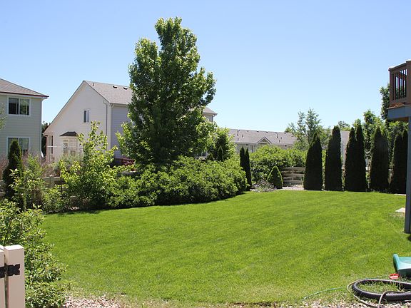Nice backyard
