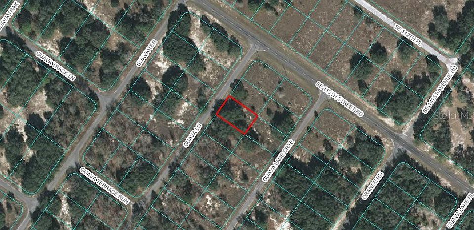 1st image of Guava Lane #Lot 3