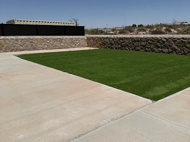 10148 Texas Madrone Dr — Photo 5